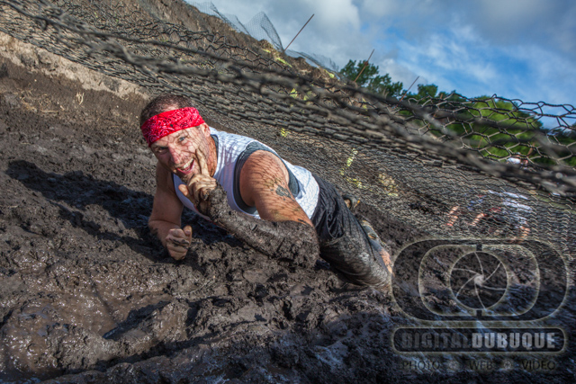 Photographer: Ronald Tigges