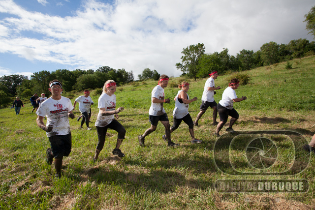 Photographer: Ronald Tigges