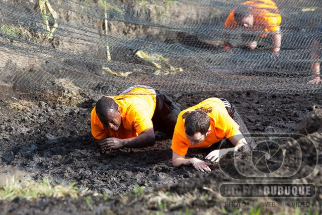 Photographer: Ronald Tigges