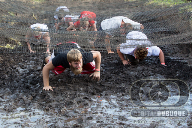 Photographer: Ronald Tigges