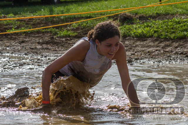 Photographer: Ronald Tigges