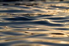 IMG_1875