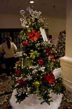 IMG_3712