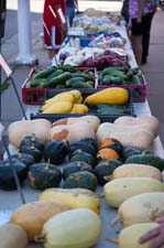 IMG_0579