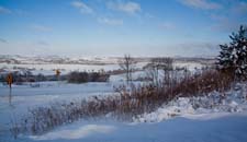 IMG_5649